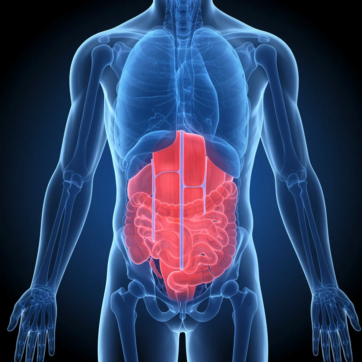 freepik_front-view-human-torso-se_2840359394