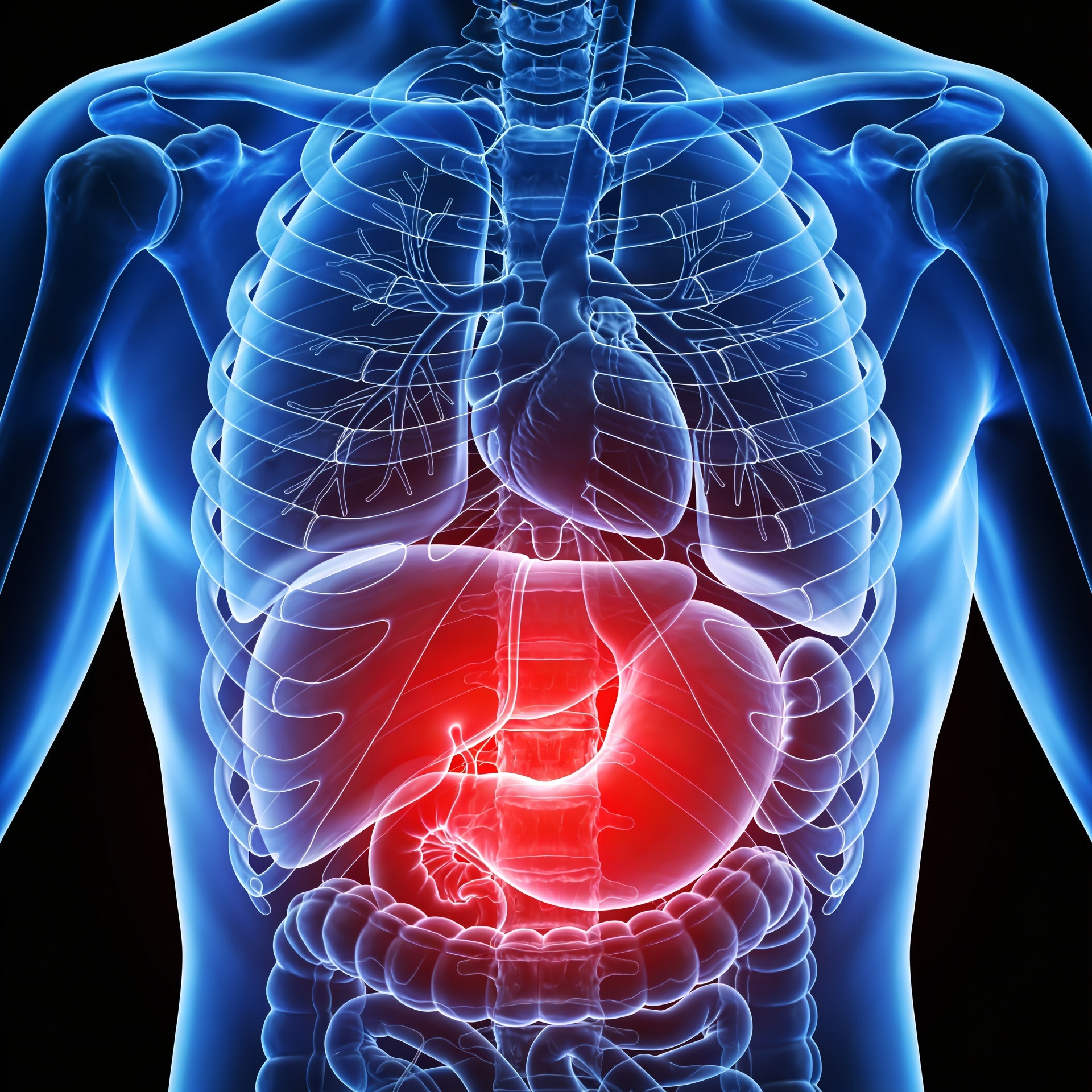 freepik_front-view-human-torso-se_2840363451